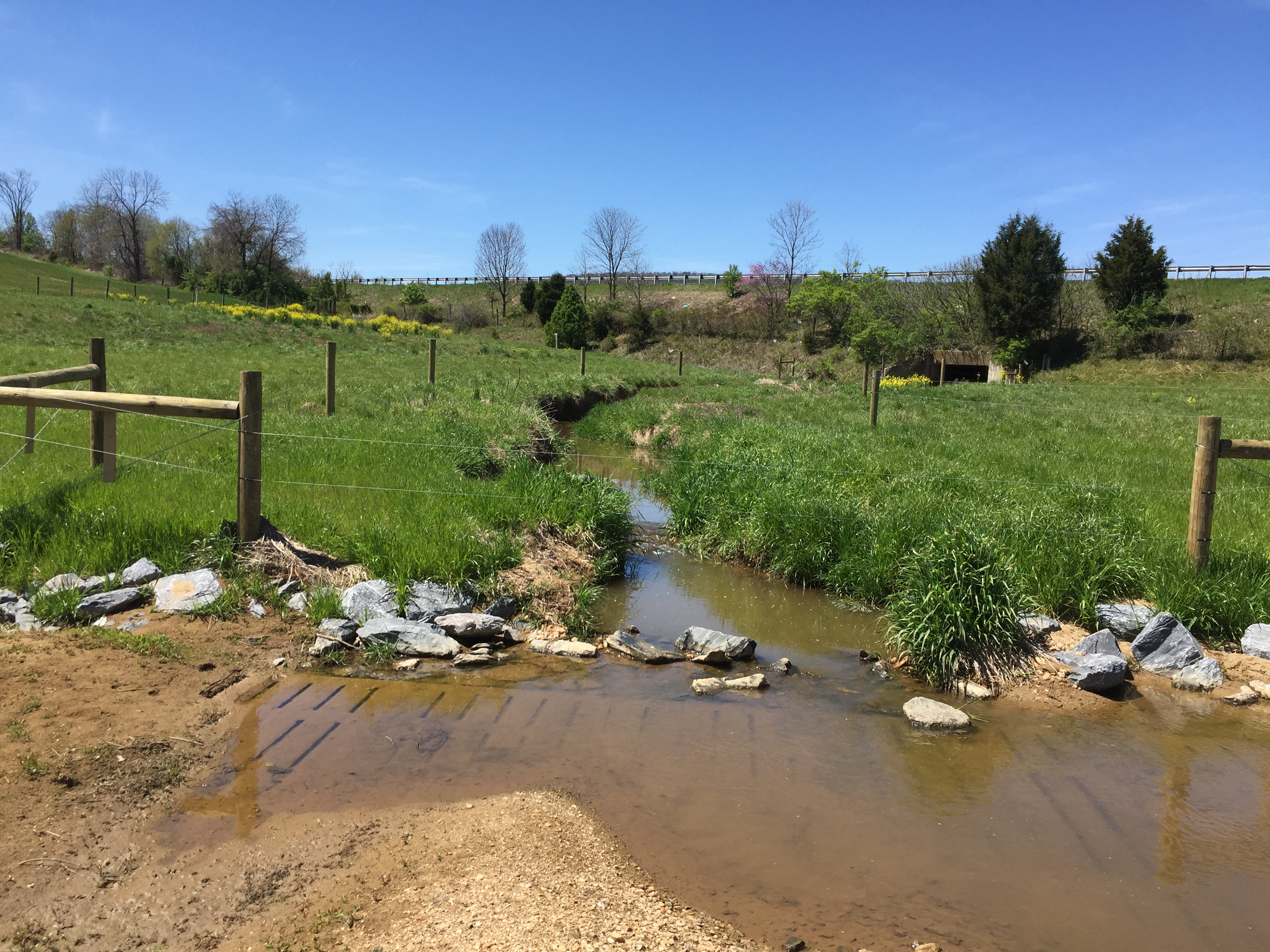 Field photo showing stream conditions at site PRFR-107-X-2016_midpoint looking upstream